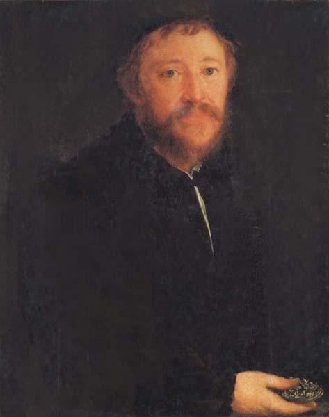 AMBERGER, Christoph Portrait of Cornelius Gros Sweden oil painting art